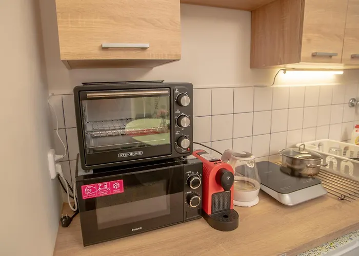 Grand Apartment Near Dancing House